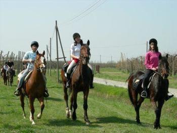 Agriturismo La Riccardina Будріо Екстер'єр фото